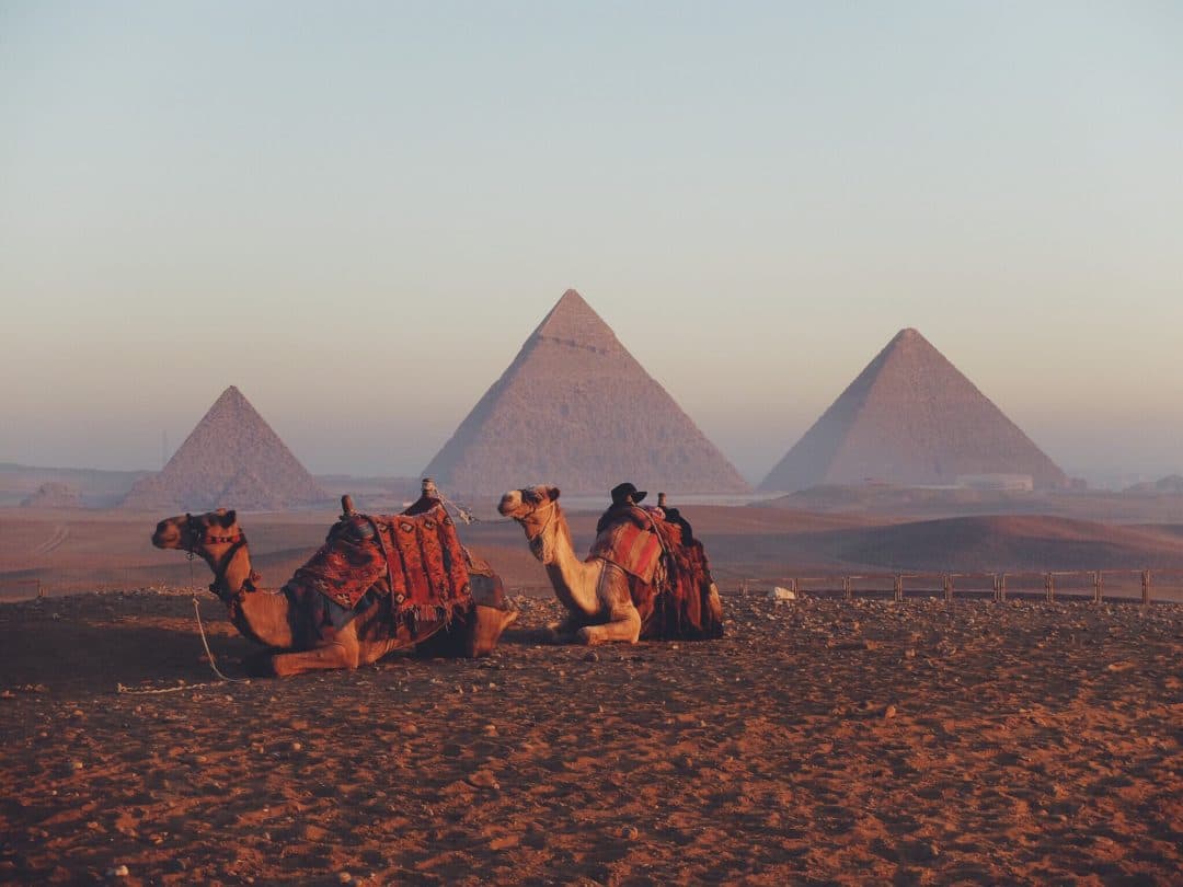 Image de Rêves d'Égypte